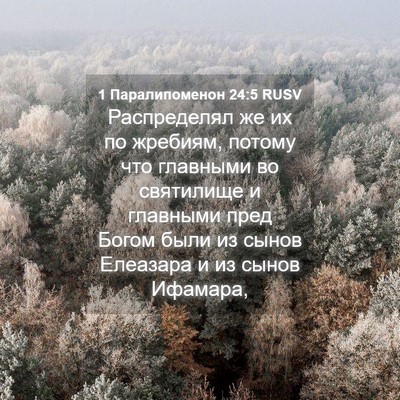 Picture 04 - 1 Паралипоменон 24:5 RUSV - Распределял же их по - Bible Verse Picture