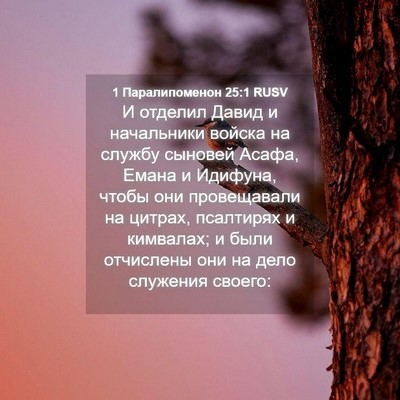 Picture 04 - 1 Паралипоменон 25:1 RUSV - И отделил Давид и - Bible Verse Picture