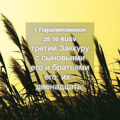 Picture 04 - 1 Паралипоменон 25:10 RUSV - третий Заккуру с сыновьями - Bible Verse Picture