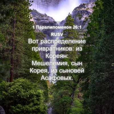 Picture 04 - 1 Паралипоменон 26:1 RUSV - Вот распределение - Bible Verse Picture