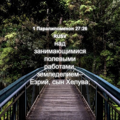 Picture 04 - 1 Паралипоменон 27:26 RUSV - над занимающимися - Bible Verse Picture