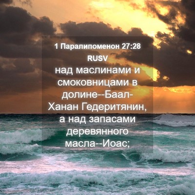 Picture 04 - 1 Паралипоменон 27:28 RUSV - над маслинами и - Bible Verse Picture