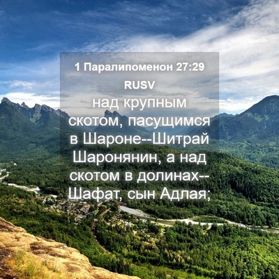 Picture 04 - 1 Паралипоменон 27:29 RUSV - над крупным скотом, - Bible Verse Picture