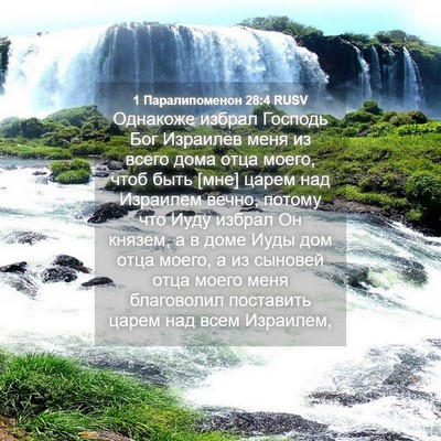 Picture 04 - 1 Паралипоменон 28:4 RUSV - Однакоже избрал Господь - Bible Verse Picture
