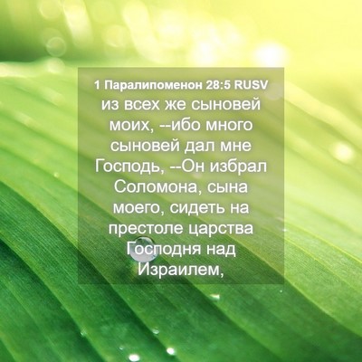 Picture 04 - 1 Паралипоменон 28:5 RUSV - из всех же сыновей моих, - Bible Verse Picture