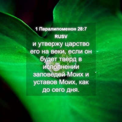 Picture 04 - 1 Паралипоменон 28:7 RUSV - и утвержу царство его на - Bible Verse Picture