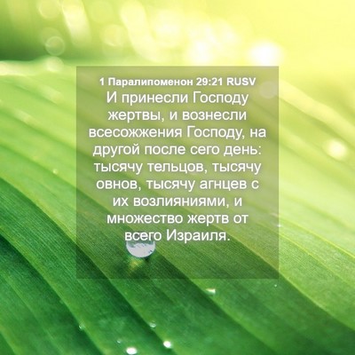 Picture 04 - 1 Паралипоменон 29:21 RUSV - И принесли Господу жертвы, - Bible Verse Picture