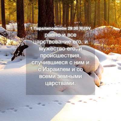 Picture 04 - 1 Паралипоменон 29:30 RUSV - равно и все царствование - Bible Verse Picture