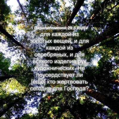 Picture 04 - 1 Паралипоменон 29:5 RUSV - для каждой из золотых - Bible Verse Picture