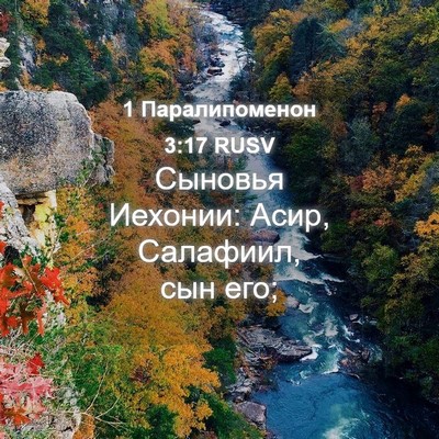 Picture 04 - 1 Паралипоменон 3:17 RUSV - Сыновья Иехонии: Асир, - Bible Verse Picture