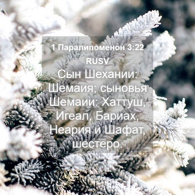 Picture 04 - 1 Паралипоменон 3:22 RUSV - Сын Шехании: Шемаия; - Bible Verse Picture