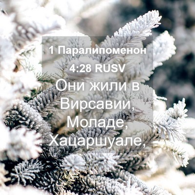 Picture 04 - 1 Паралипоменон 4:28 RUSV - Они жили в Вирсавии, - Bible Verse Picture