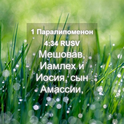 Picture 04 - 1 Паралипоменон 4:34 RUSV - Мешовав, Иамлех и Иосия, - Bible Verse Picture