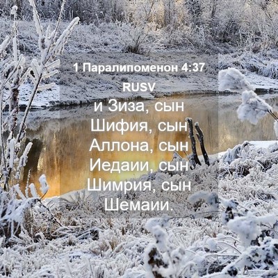Picture 04 - 1 Паралипоменон 4:37 RUSV - и Зиза, сын Шифия, сын - Bible Verse Picture