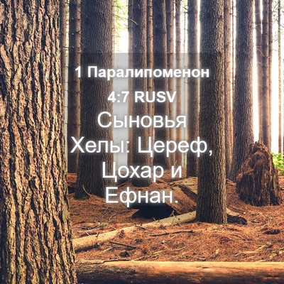 Picture 04 - 1 Паралипоменон 4:7 RUSV - Сыновья Хелы: Цереф, Цохар - Bible Verse Picture
