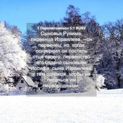 Picture 04 - 1 Паралипоменон 5:1 RUSV - Сыновья Рувима, первенца - Bible Verse Picture