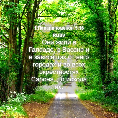 Picture 04 - 1 Паралипоменон 5:16 RUSV - Они жили в Галааде, в - Bible Verse Picture