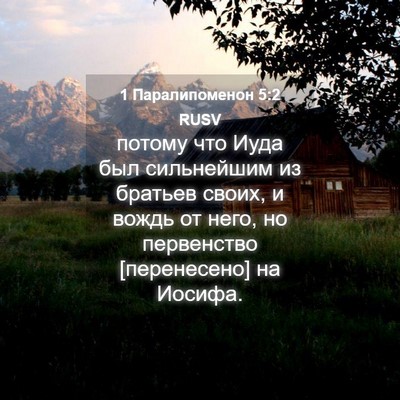 Picture 04 - 1 Паралипоменон 5:2 RUSV - потому что Иуда был - Bible Verse Picture