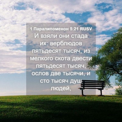 Picture 04 - 1 Паралипоменон 5:21 RUSV - И взяли они стада их: - Bible Verse Picture