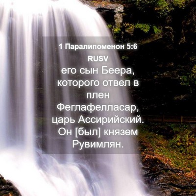 Picture 04 - 1 Паралипоменон 5:6 RUSV - его сын Беера, которого - Bible Verse Picture