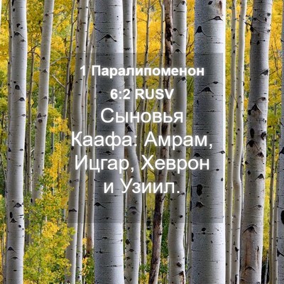 Picture 04 - 1 Паралипоменон 6:2 RUSV - Сыновья Каафа: Амрам, - Bible Verse Picture