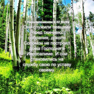 Picture 04 - 1 Паралипоменон 6:32 RUSV - Они служили певцами пред - Bible Verse Picture