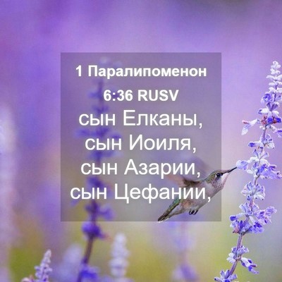 Picture 04 - 1 Паралипоменон 6:36 RUSV - сын Елканы, сын Иоиля, сын - Bible Verse Picture