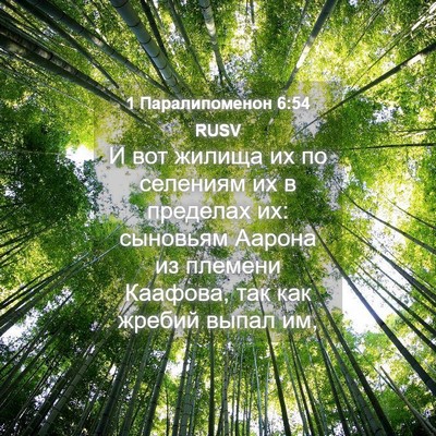 Picture 04 - 1 Паралипоменон 6:54 RUSV - И вот жилища их по селениям - Bible Verse Picture