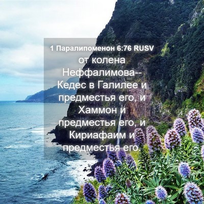 Picture 04 - 1 Паралипоменон 6:76 RUSV - от колена - Bible Verse Picture