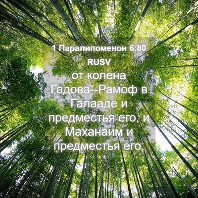 Picture 04 - 1 Паралипоменон 6:80 RUSV - от колена Гадова--Рамоф в - Bible Verse Picture