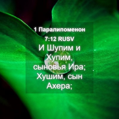 Picture 04 - 1 Паралипоменон 7:12 RUSV - И Шупим и Хупим, сыновья - Bible Verse Picture