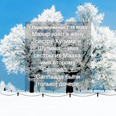 Picture 04 - 1 Паралипоменон 7:15 RUSV - Махир взял в жену сестру - Bible Verse Picture