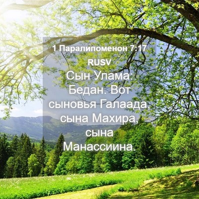 Picture 04 - 1 Паралипоменон 7:17 RUSV - Сын Улама: Бедан. Вот - Bible Verse Picture