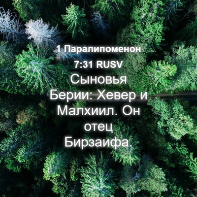 Picture 04 - 1 Паралипоменон 7:31 RUSV - Сыновья Берии: Хевер и - Bible Verse Picture