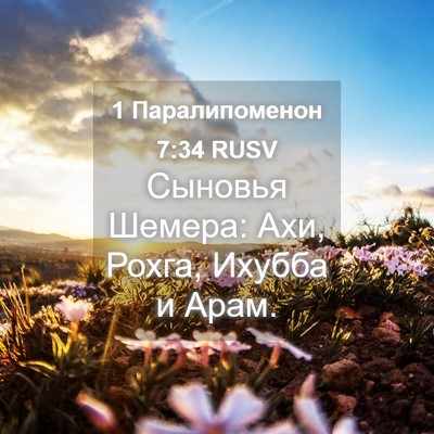 Picture 04 - 1 Паралипоменон 7:34 RUSV - Сыновья Шемера: Ахи, Рохга, - Bible Verse Picture