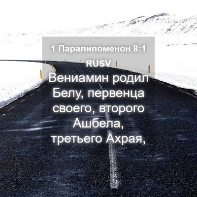 Picture 04 - 1 Паралипоменон 8:1 RUSV - Вениамин родил Белу, - Bible Verse Picture