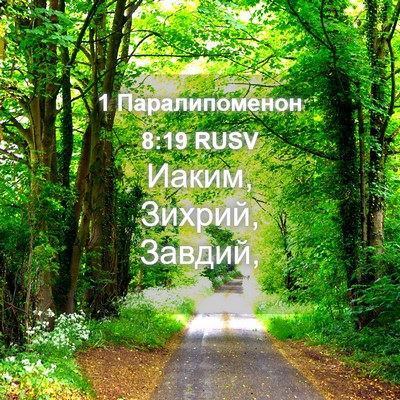 Picture 04 - 1 Паралипоменон 8:19 RUSV - Иаким, Зихрий, - Bible Verse Picture