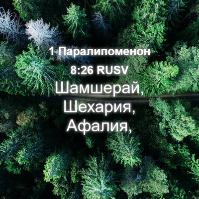 Picture 04 - 1 Паралипоменон 8:26 RUSV - Шамшерай, Шехария, - Bible Verse Picture