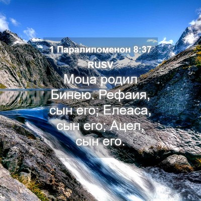 Picture 04 - 1 Паралипоменон 8:37 RUSV - Моца родил Бинею. Рефаия, - Bible Verse Picture