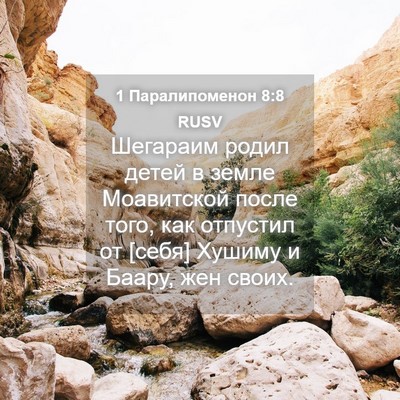 Picture 04 - 1 Паралипоменон 8:8 RUSV - Шегараим родил детей в - Bible Verse Picture