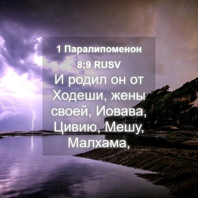 Picture 04 - 1 Паралипоменон 8:9 RUSV - И родил он от Ходеши, жены - Bible Verse Picture