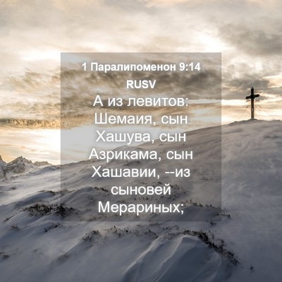 Picture 04 - 1 Паралипоменон 9:14 RUSV - А из левитов: Шемаия, сын - Bible Verse Picture