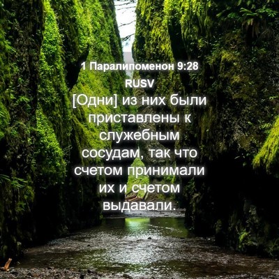 Picture 04 - 1 Паралипоменон 9:28 RUSV - [Одни] из них были - Bible Verse Picture