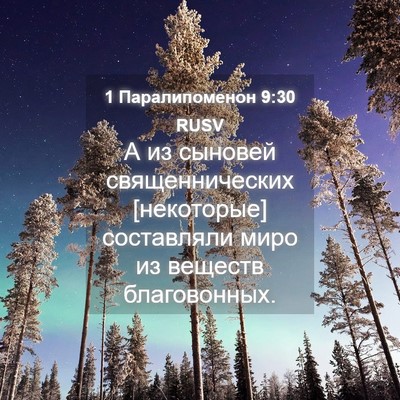 Picture 04 - 1 Паралипоменон 9:30 RUSV - А из сыновей - Bible Verse Picture