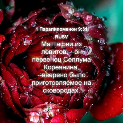 Picture 04 - 1 Паралипоменон 9:31 RUSV - Маттафии из левитов, --он - Bible Verse Picture