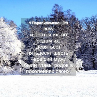 Picture 04 - 1 Паралипоменон 9:9 RUSV - и братья их, по родам их: - Bible Verse Picture