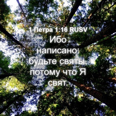 Picture 04 - 1 Петра 1:16 RUSV - Ибо написано: будьте святы, - Bible Verse Picture