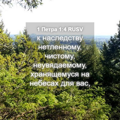 Picture 04 - 1 Петра 1:4 RUSV - к наследству нетленному, - Bible Verse Picture