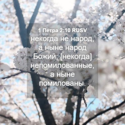 Picture 04 - 1 Петра 2:10 RUSV - некогда не народ, а ныне - Bible Verse Picture