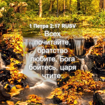 Picture 04 - 1 Петра 2:17 RUSV - Всех почитайте, братство - Bible Verse Picture